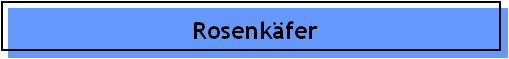 Rosenk�fer