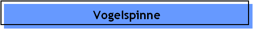Vogelspinne